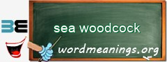 WordMeaning blackboard for sea woodcock